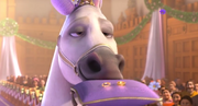 Maximus