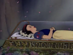 Crystal coffin