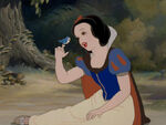 Snow White forest