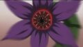 Thumbnail for version as of 01:12, February 10, 2012