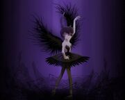 Princess.Tutu.Wallpaper.51579