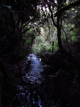 1.1306239877.el-rio-peque-o.jpg