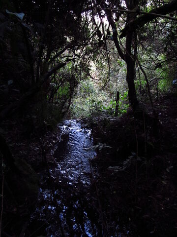Archivo:1.1306239877.el-rio-peque-o.jpg