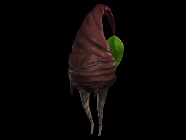File:Rurnip.jpg