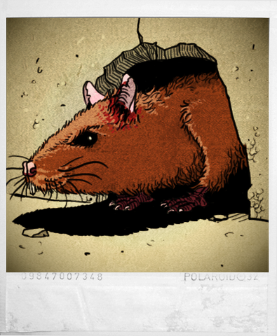 File:Ill chap3 rat.png