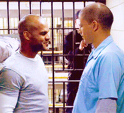 Sucre Scofield 2.gif