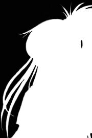 Sizz Flair(2)