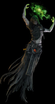 Necromancer Hellraid