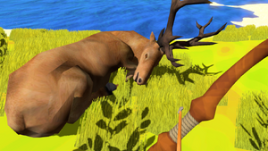 A dead deer.