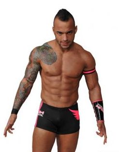 Helios  Pro Wrestling  Fandom powered by Wikia