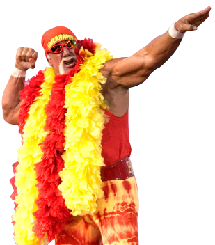 Image - Hulk Hogan1 2.png | Pro Wrestling | FANDOM powered by Wikia