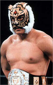 Tiger mask