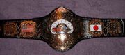 NWA United National Champion
