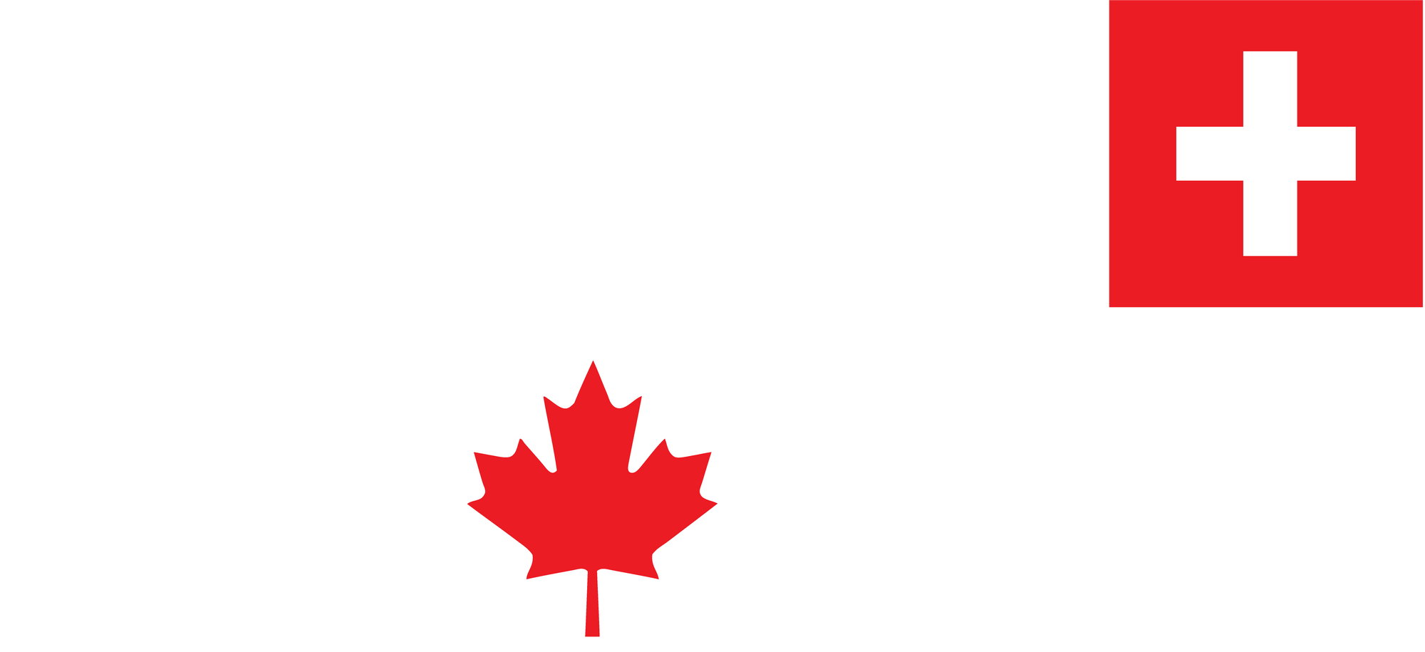 Cesaro & Tyson Kidd/Logos | Pro Wrestling | FANDOM powered by Wikia Tyson Kidd Logo
