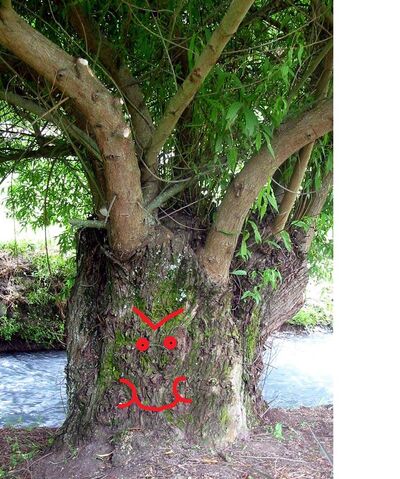 File:Evil tree2.jpg