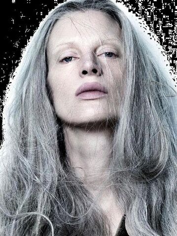 File:Grey-hair.jpg