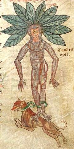 File:Medieval bestiary1 - Edited.jpg