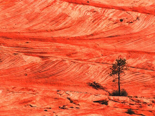 File:Red-Stone-Desert.jpg