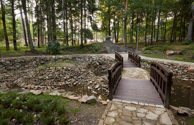 Plik:Park Leśny Polanica.jpg