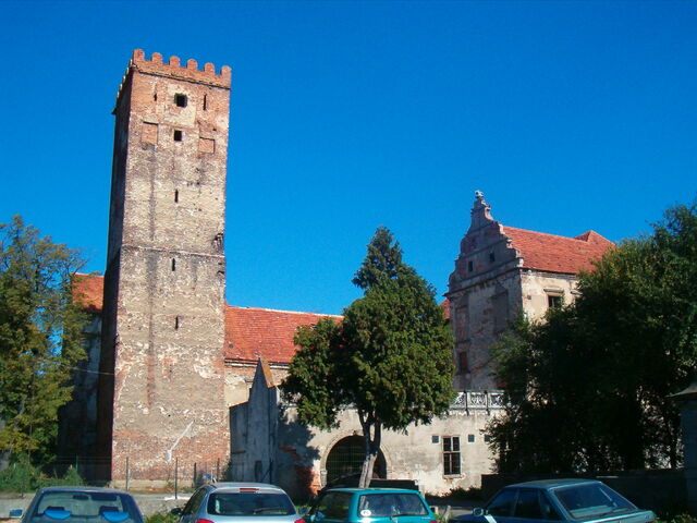 Plik:Prochowice zamek.jpg