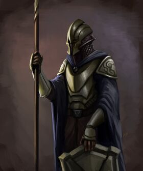 Gwardzista Honorowy