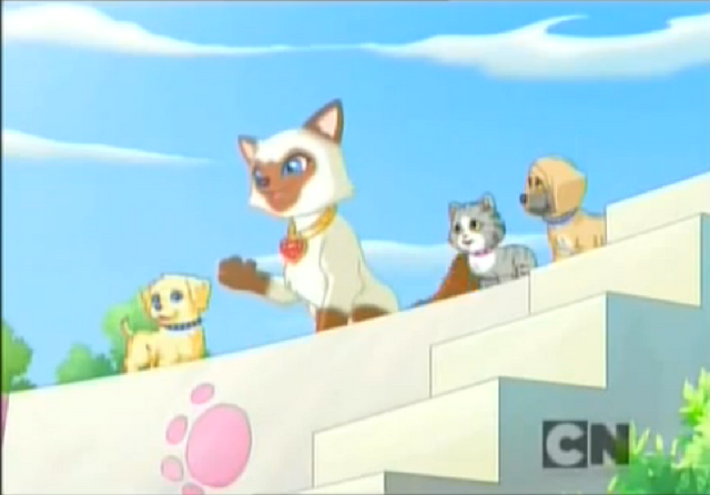 Plik:Brak Meli.png