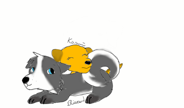 Plik:Sketch-1496320432119.png