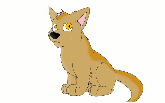 Plik:Sketch-1499184680582.png