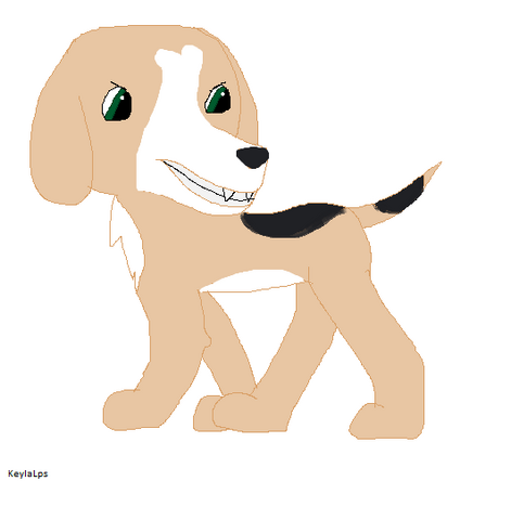 Plik:Zack 2.png