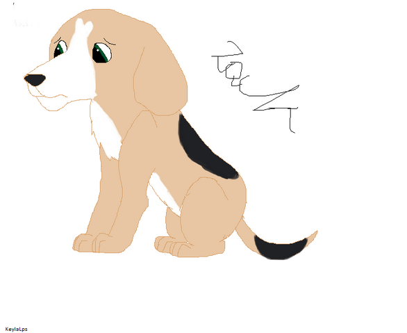 Plik:Zack.png