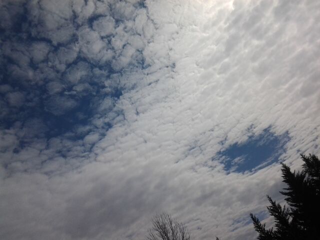 File:20140301 135137.jpg