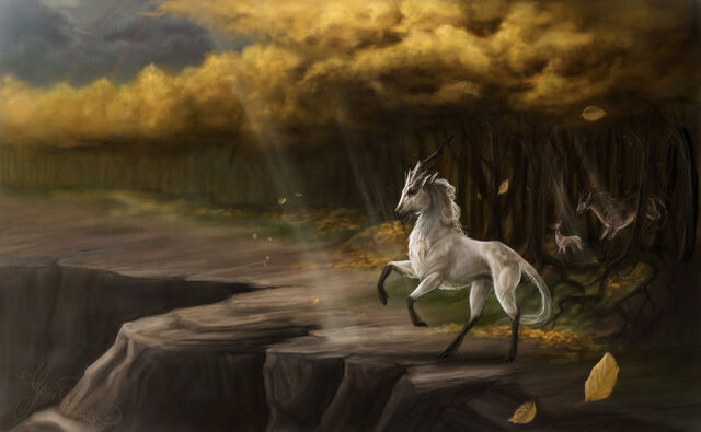 File:Forest clearing by leashe-d45hle3.jpg