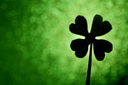 A Little Luck