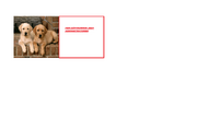 ADMINI.png