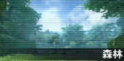 森林.png