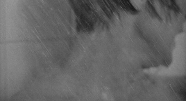 File:Shower 21.jpg