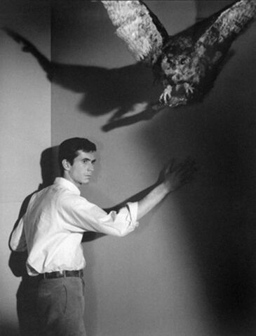 File:Tony Publicity 04.jpg