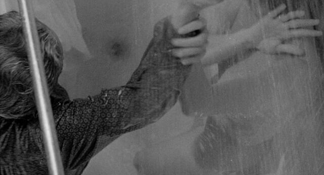 File:Shower 15.jpg