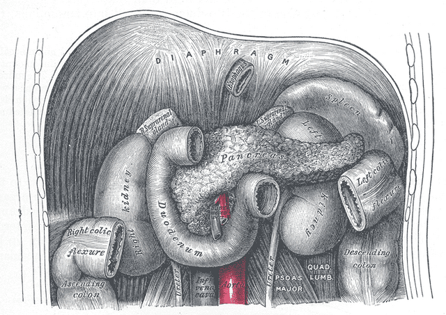 File:Gray1098.png