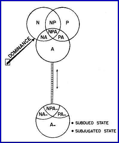 File:NPAtheory1.gif