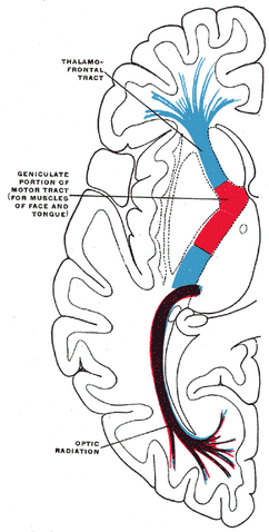 File:Gray746.png