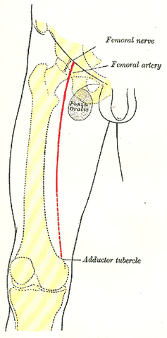 File:Gray1245.png