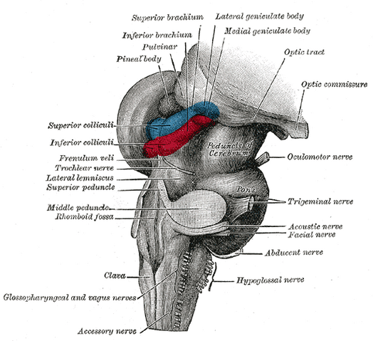 File:Gray719.png