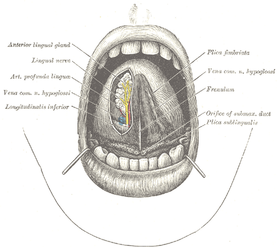 File:Gray1202.png