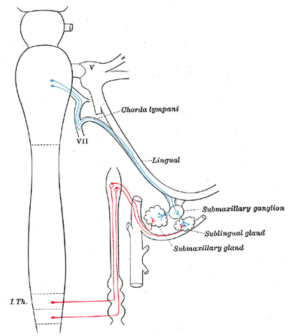 File:Gray842.png