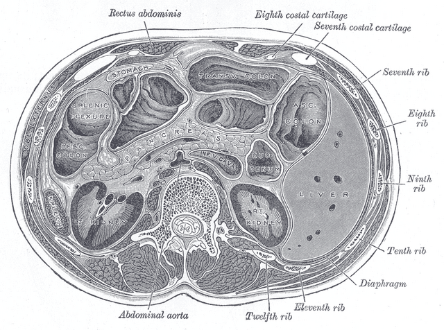 File:Gray1097.png