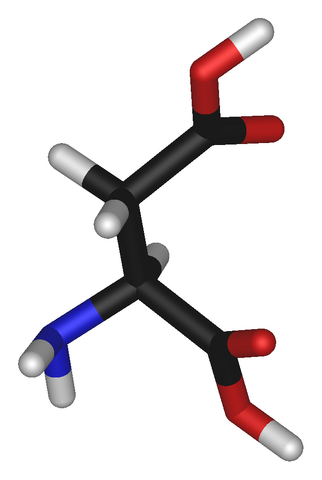 File:L-aspartic-acid-3D-sticks.png