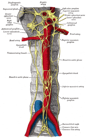 File:Gray847.png