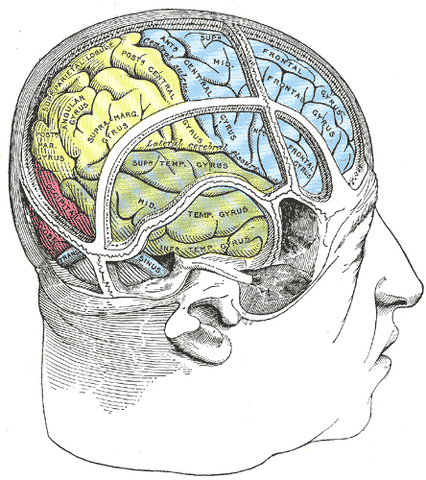 File:Gray1197.png