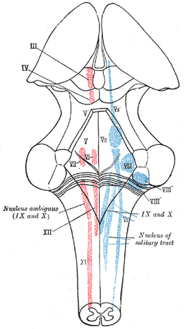 File:Gray696.png